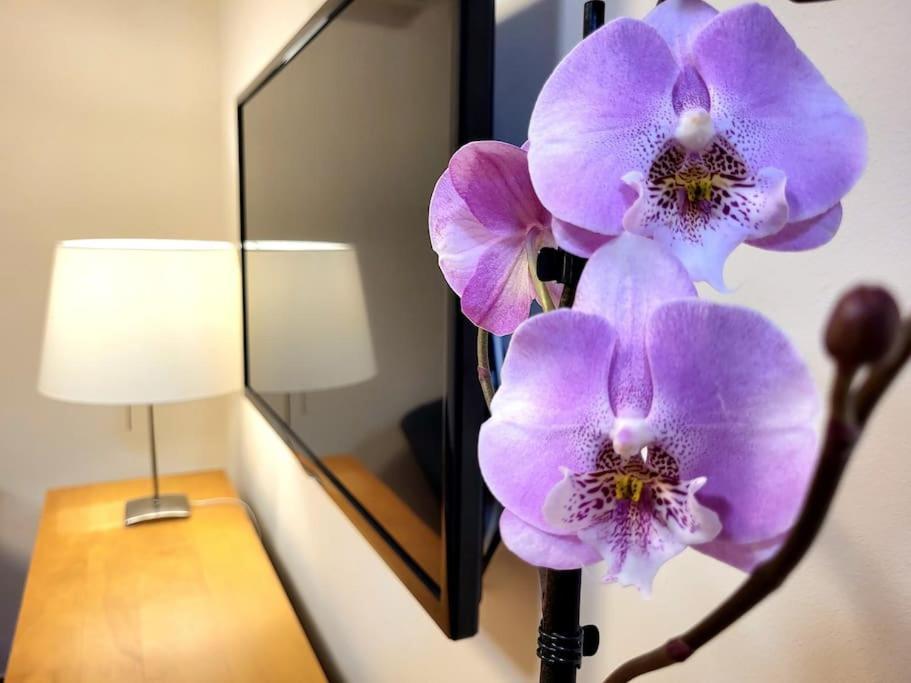 Flamenco, Apartamento Exclusivo De Dos Habitaciones En El Pleno Del Casco Antiguo, Alicante, Playa, Centro Historico, Rambla Eksteriør bilde